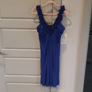 Valerie Bertinelli Royal Blue Garment